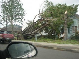 wind insurance coverage
